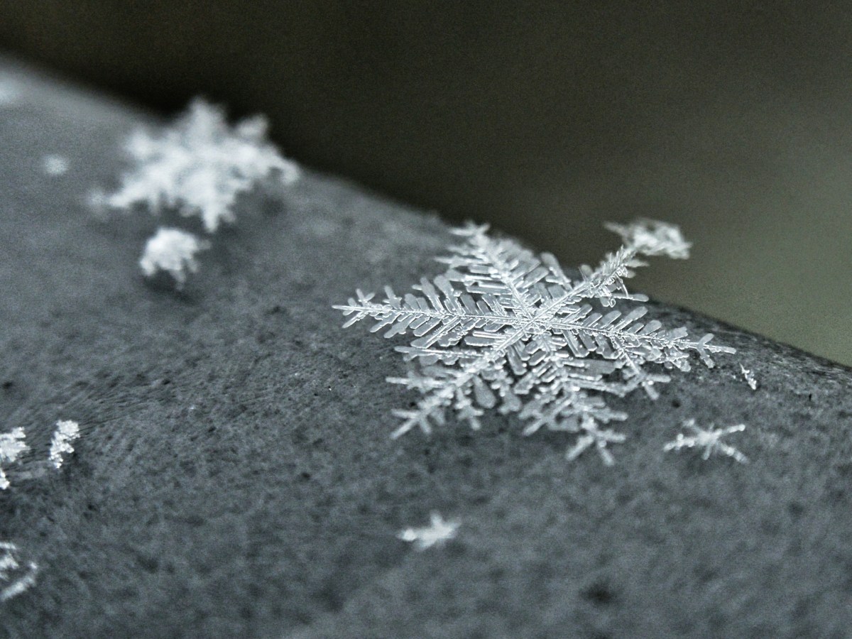 How do Snowflakes&nbsp;Form?