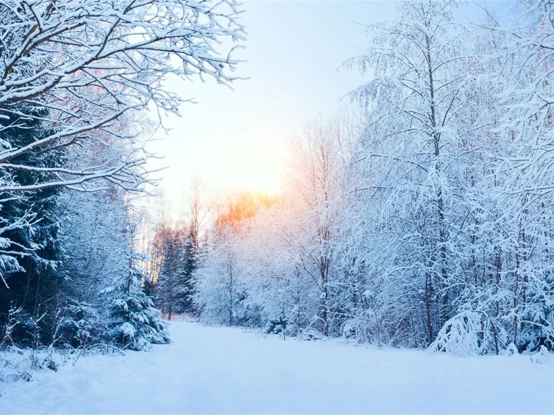 FSB Fun Facts: The Holiday&nbsp;Season